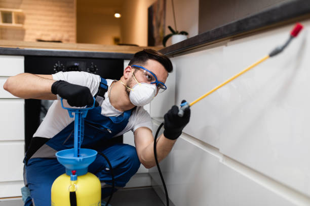 Best Affordable Pest Control Services  in Bradley, WV